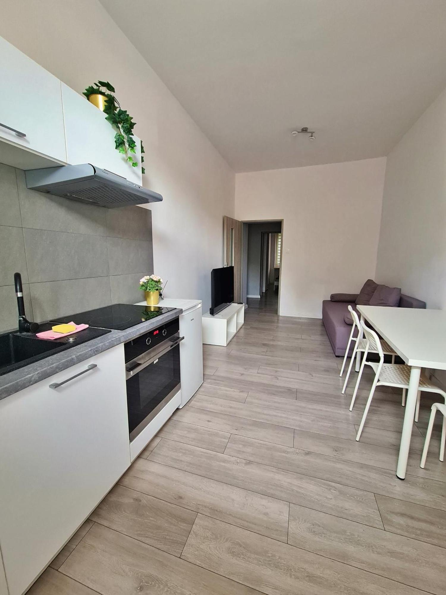 Apartament Przy Zamku - Darmowy Parking Stary Toruń Dış mekan fotoğraf